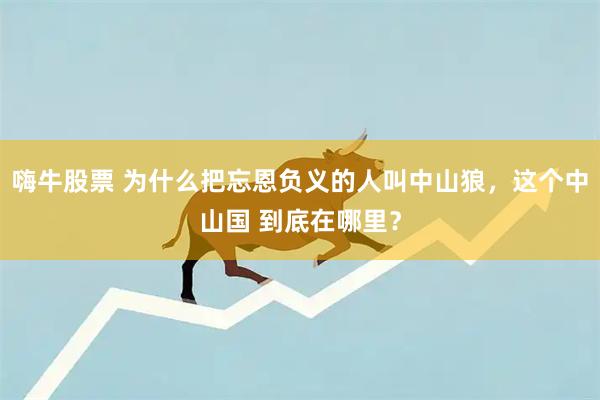 嗨牛股票 为什么把忘恩负义的人叫中山狼，这个中山国 到底在哪里？