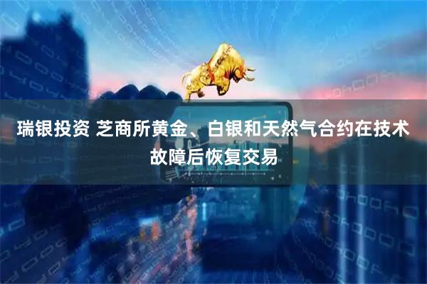 瑞银投资 芝商所黄金、白银和天然气合约在技术故障后恢复交易