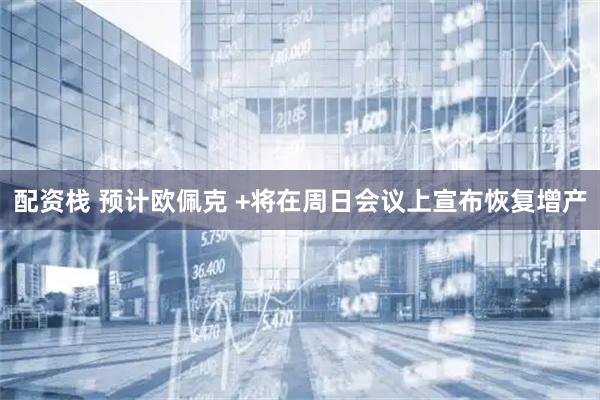 配资栈 预计欧佩克 +将在周日会议上宣布恢复增产