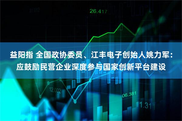 益阳指 全国政协委员、江丰电子创始人姚力军：应鼓励民营企业深度参与国家创新平台建设