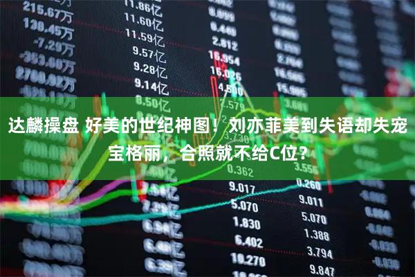 达麟操盘 好美的世纪神图！刘亦菲美到失语却失宠宝格丽，合照就不给C位？