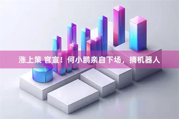 涨上策 官宣！何小鹏亲自下场，搞机器人