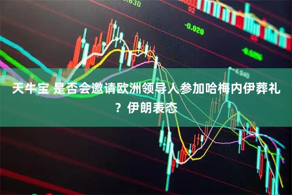 天牛宝 是否会邀请欧洲领导人参加哈梅内伊葬礼？伊朗表态